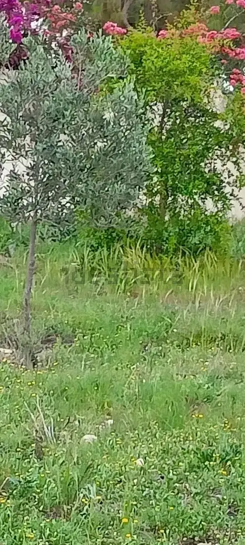 Terreno residenziale in vendita a La Huerta, imagen 5