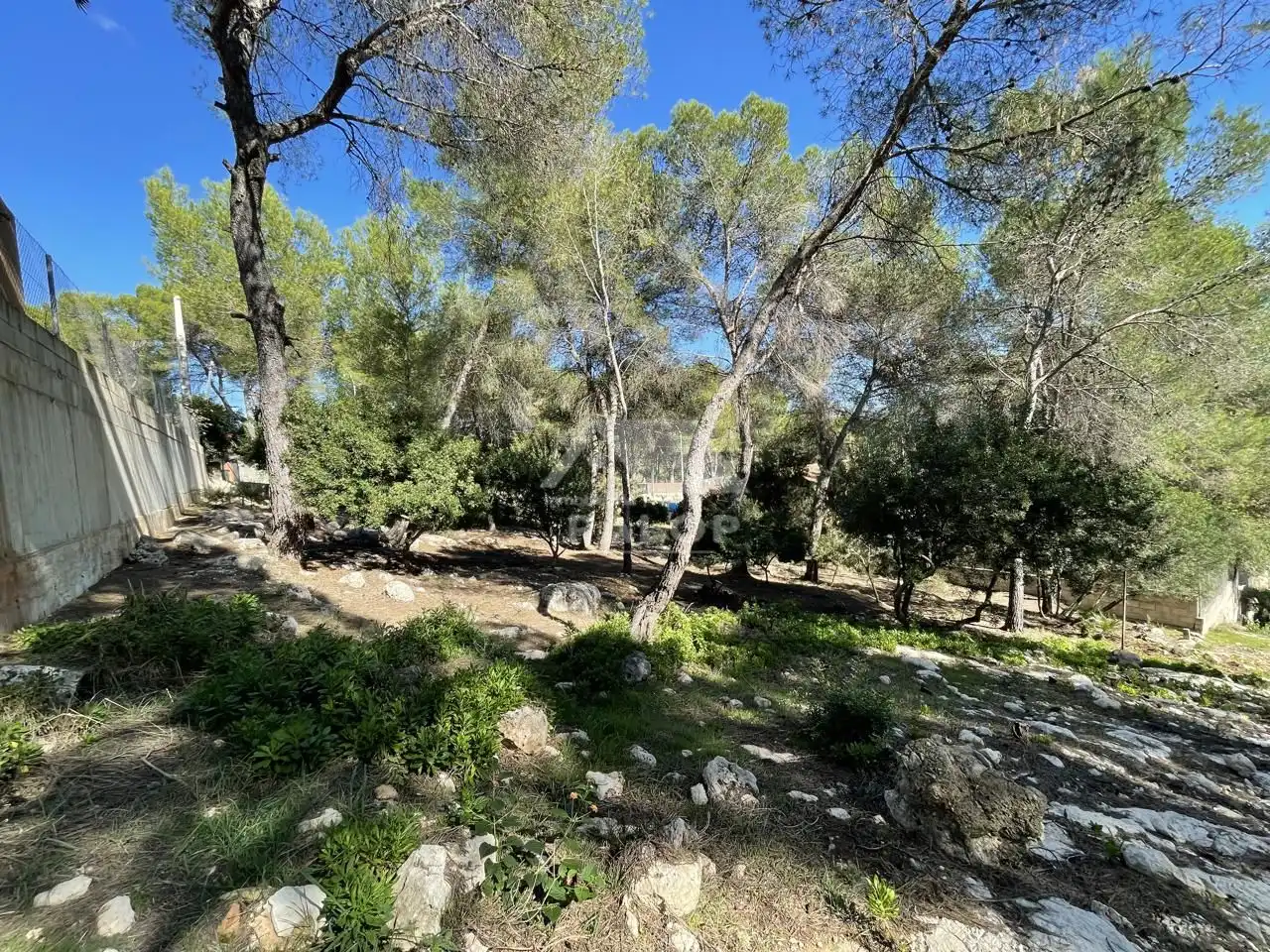 Terrenys i solars en venda a Carcaixent, imagen 2