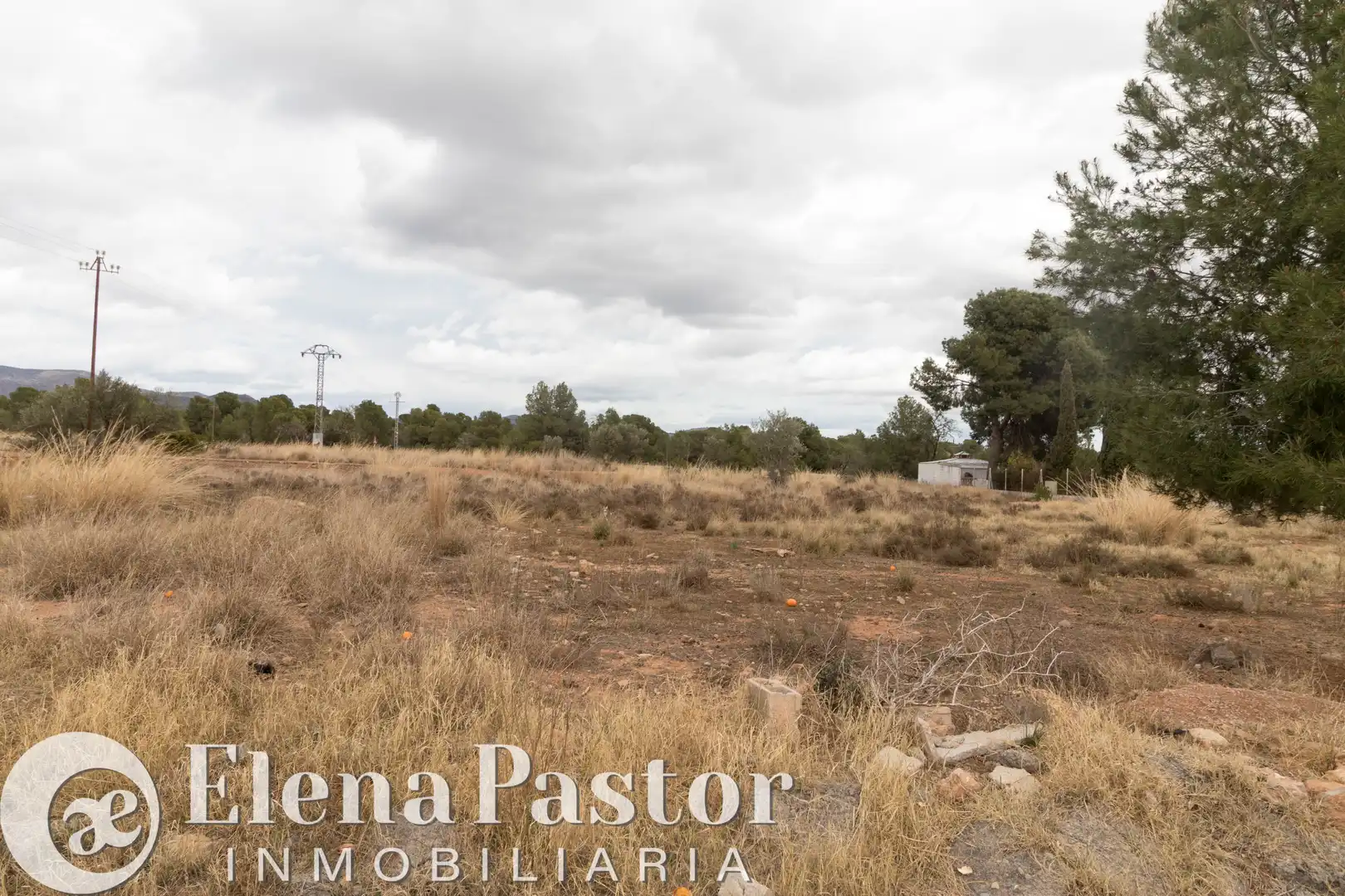 Terrain rustique à vendre à Los Pinares - La Masia, imagen 3