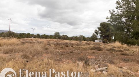 Foto 3 de Terreno en venta en Los Pinares - La Masia, Valencia