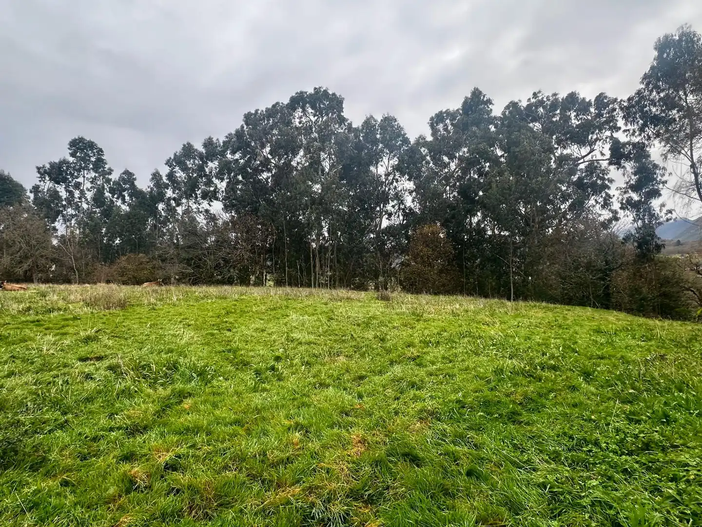 Residencial en venda en Ribadesella