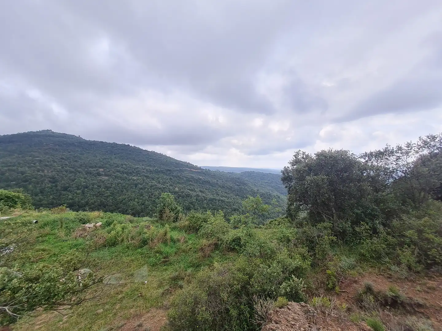 Country homes for sale in Olvan