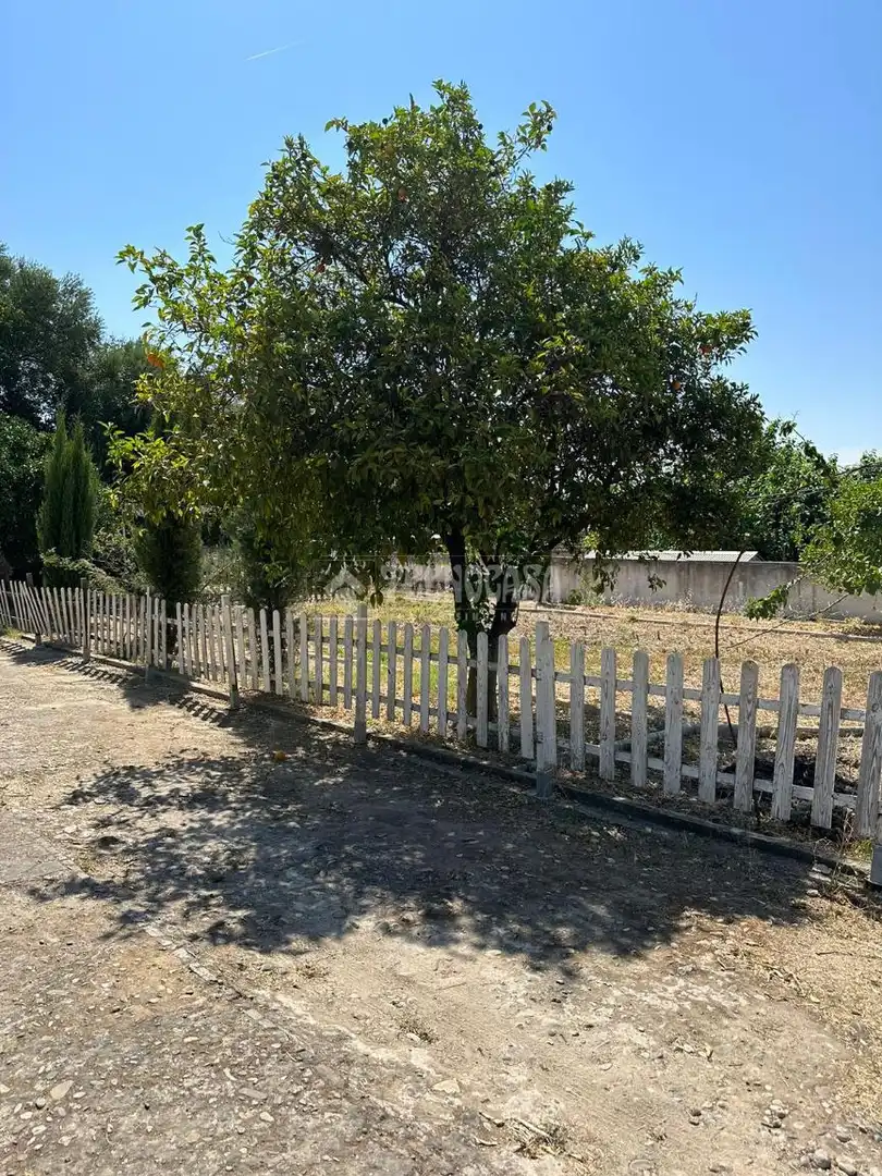 Flat for sale in Alcolea
