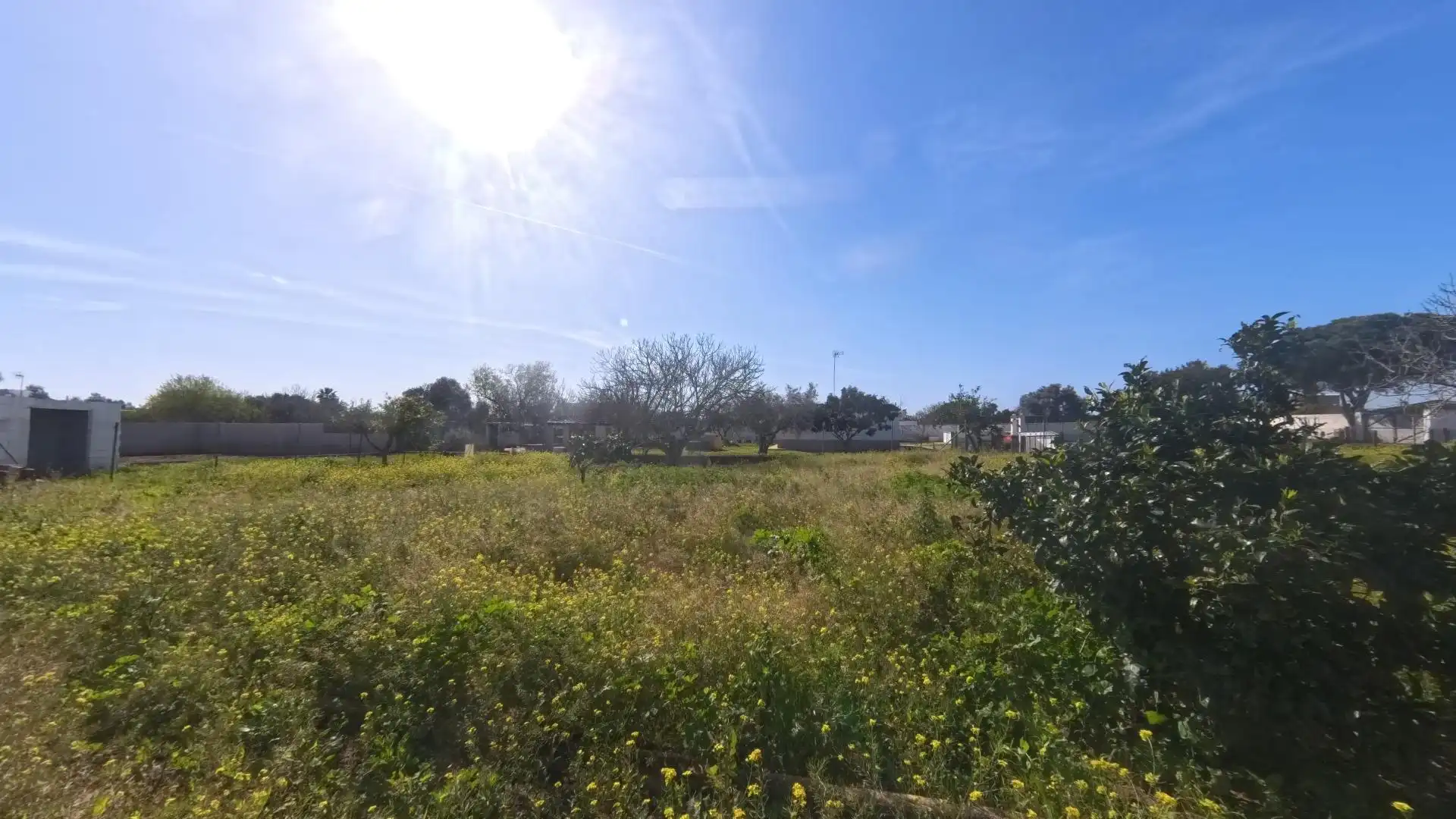 Casa o xalet en venda en Chiclana de la Frontera amb Jardí privat