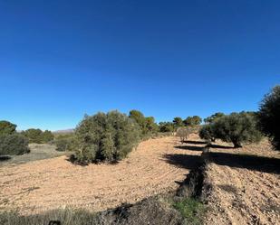 Residencial en venda en La Zarza (Badajoz)