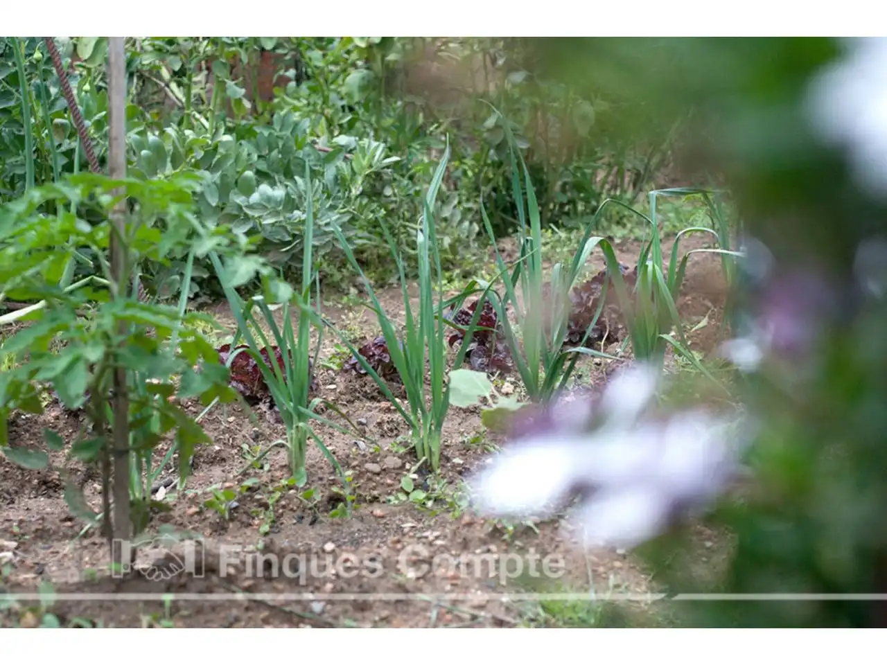 Garden of Country homes for sale in El Vendrell  with Private garden, Terrace and Swimming Pool