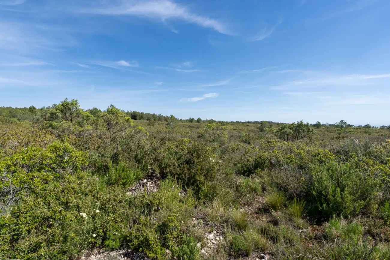 Maison rustique avec jardin à vendre à CV-590 41, imagen 47