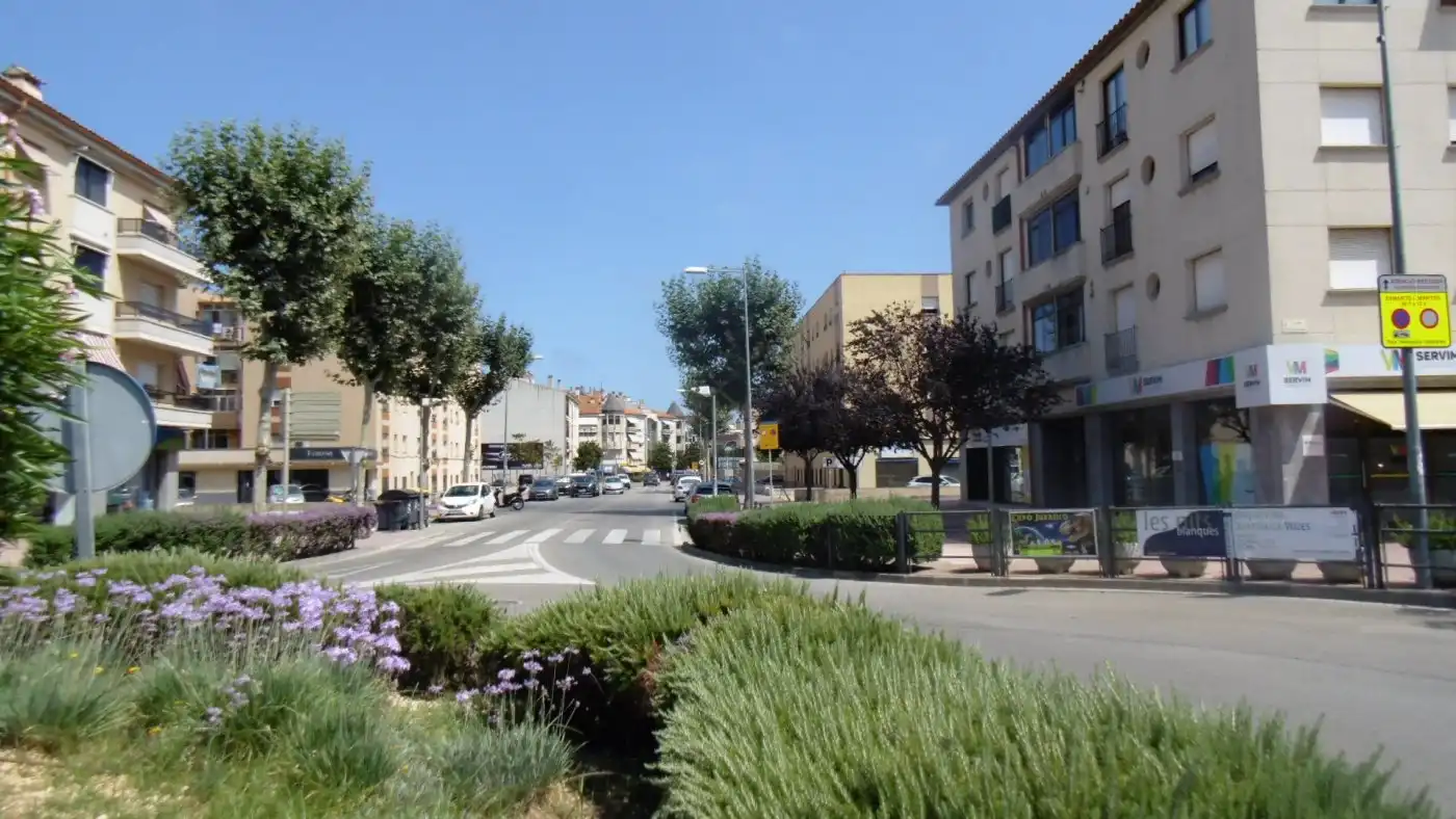 Gewerbefläche zum Verkauf in Avinguda Catalunya, imagen 2