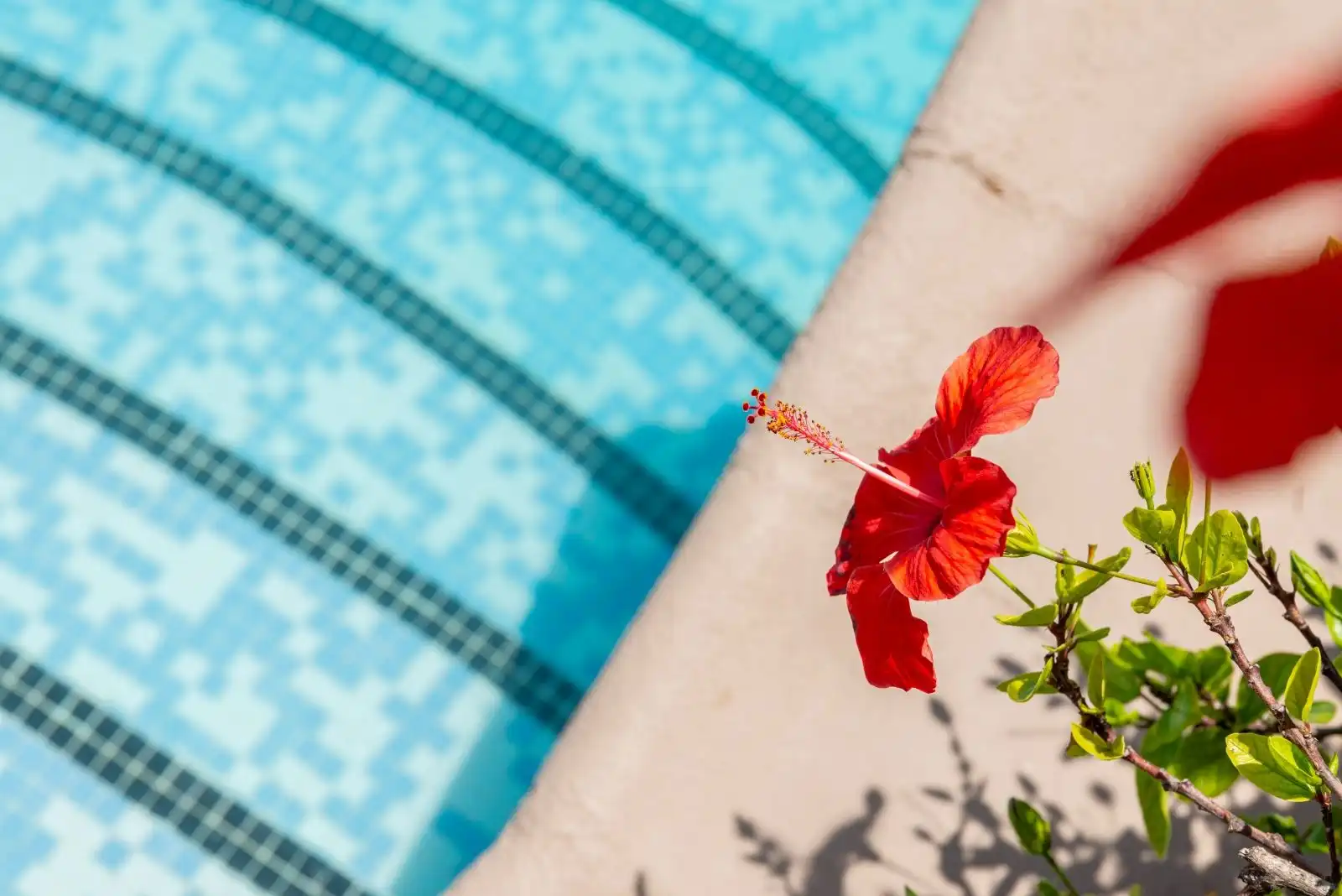 Piscina de Casa o chalet en venta en Moraira con Aire acondicionado, Calefacción y Terraza