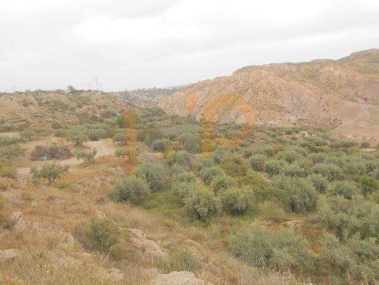 Terreno en Venta en Huércal-Overa