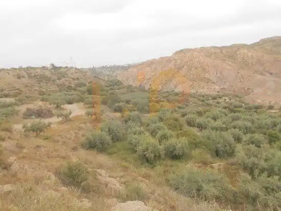 Terrain rustique à vendre à Huércal-Overa