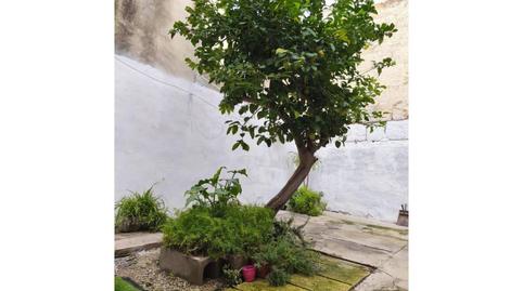 Photo 4 of Flat for sale in Calle Autonomia, Santa Margalida Poble, Santa Margalida