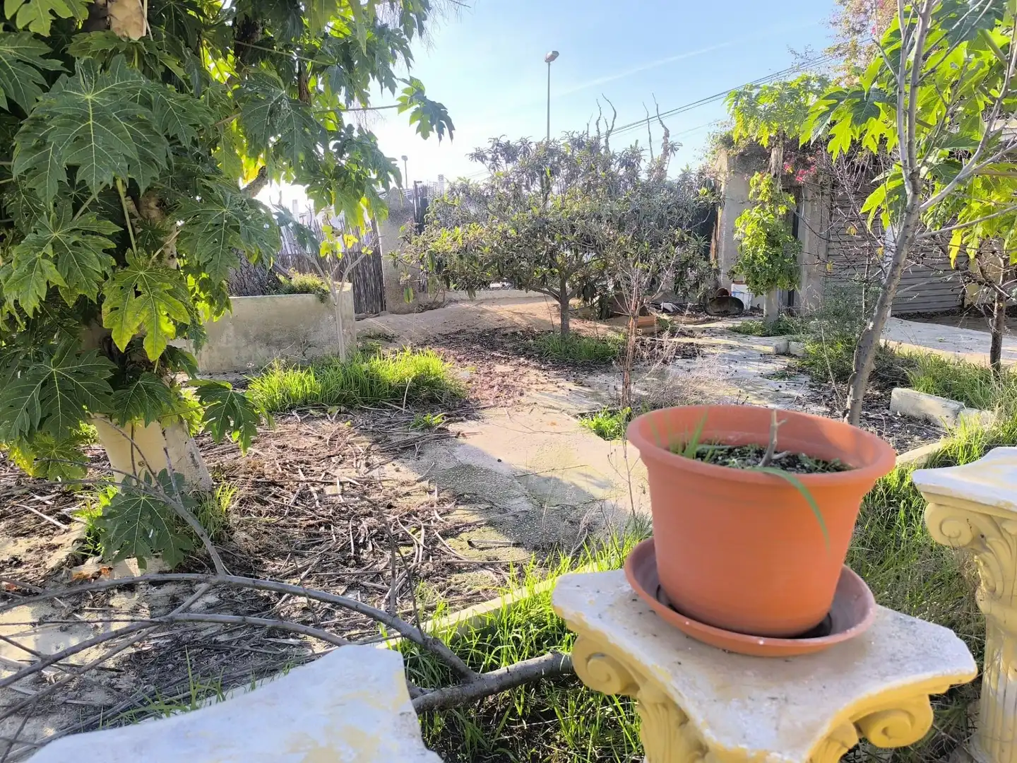 Garden of Houses for sale in Murcia  with Private garden and Storage room