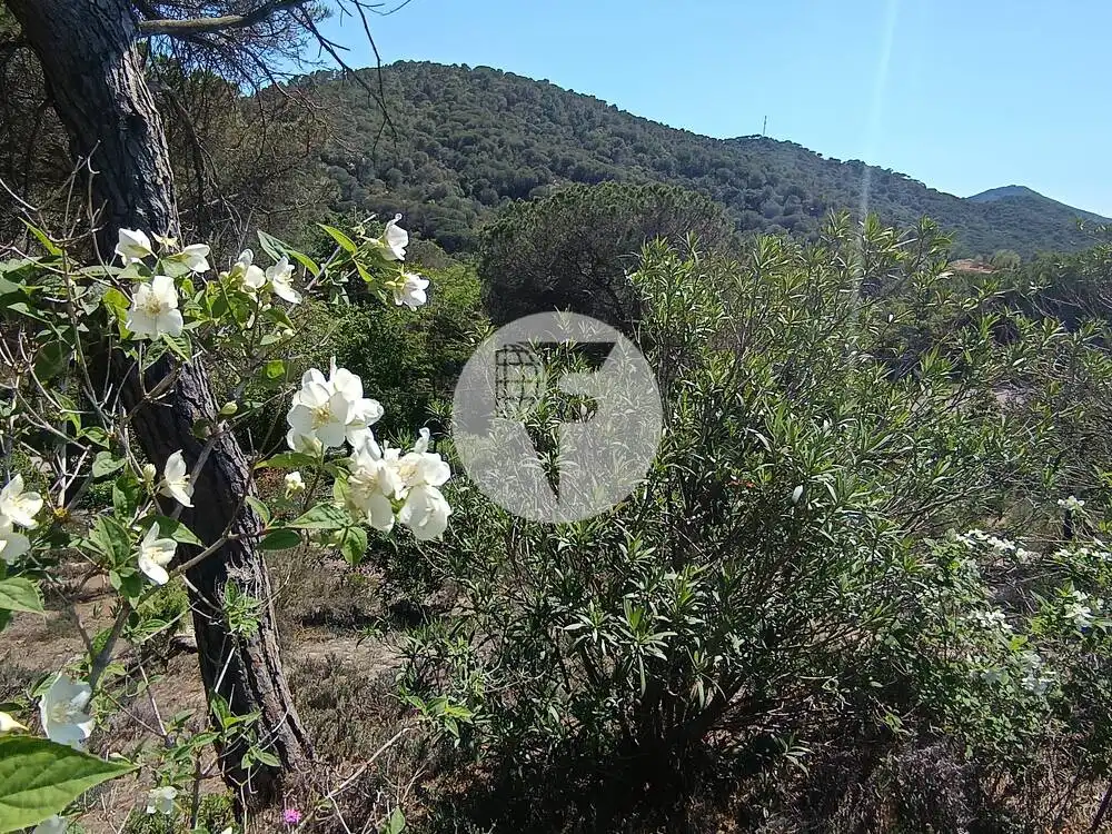 Wohnbaugrundstück zum Verkauf in Vilanova del Vallès, imagen 28