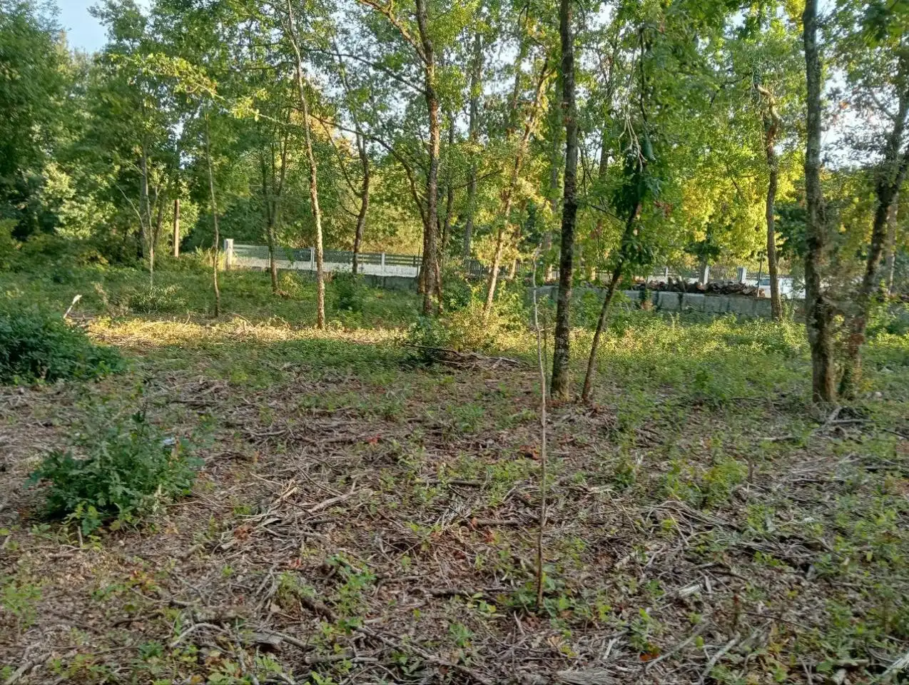 Terreni e lotti in vendita a Nogueira de Ramuín, imagen 12