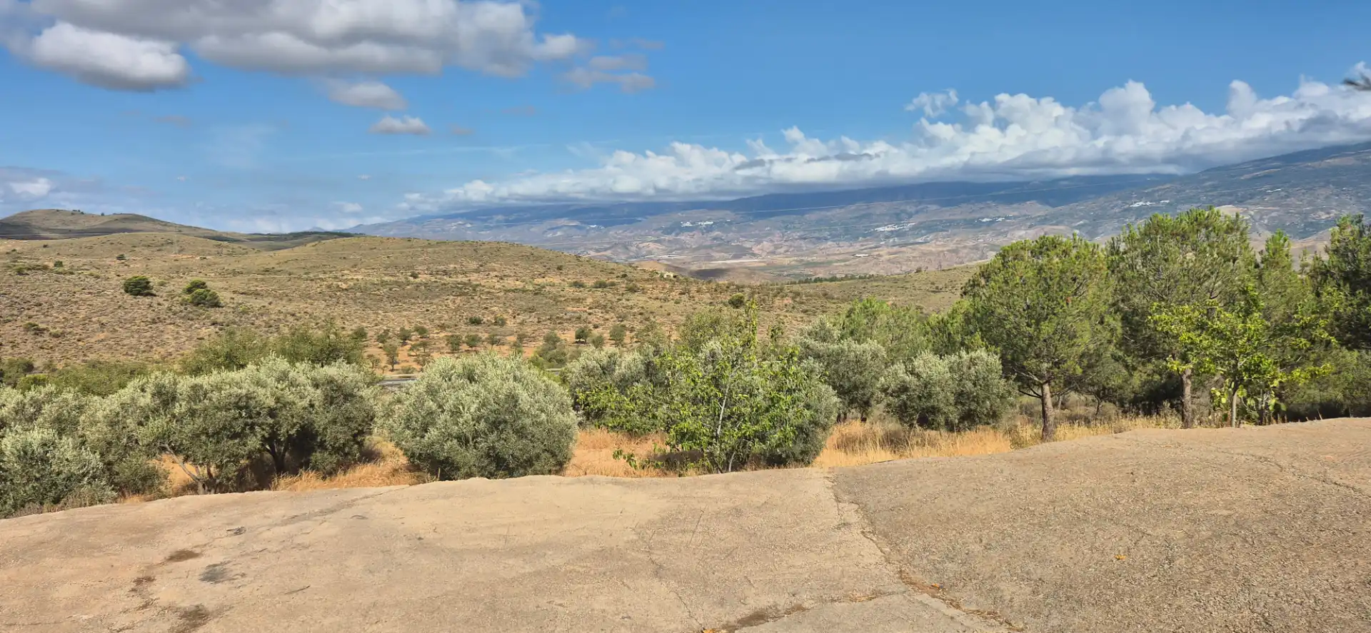 Terrain rustique à vendre à Alcolea, imagen 12