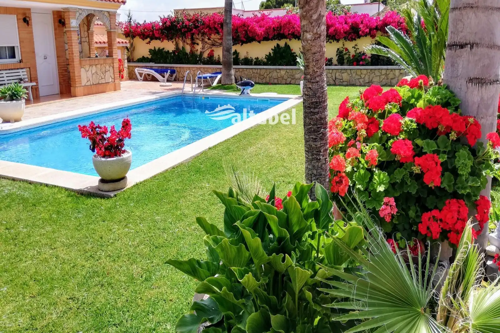 Jardín de Casa o chalet en venta en Benicarló con Terraza y Piscina