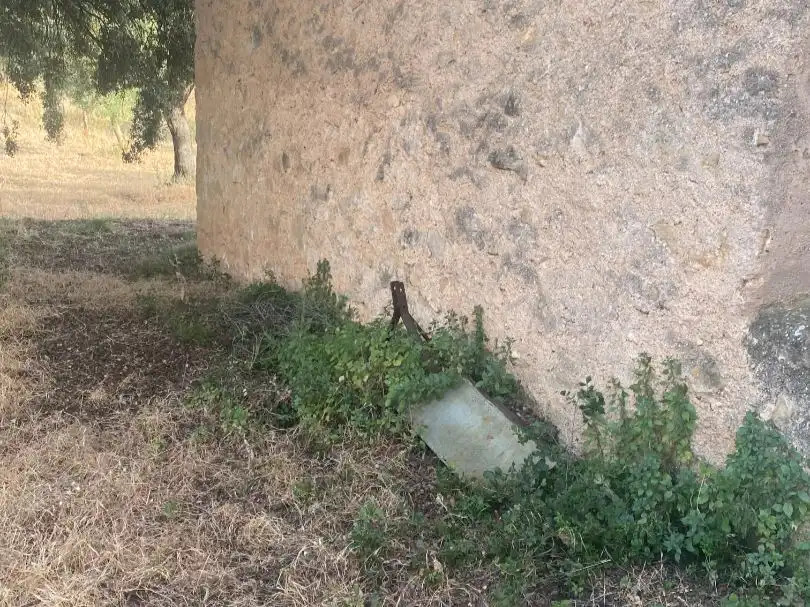 Rural land for sale in disseminat s/n