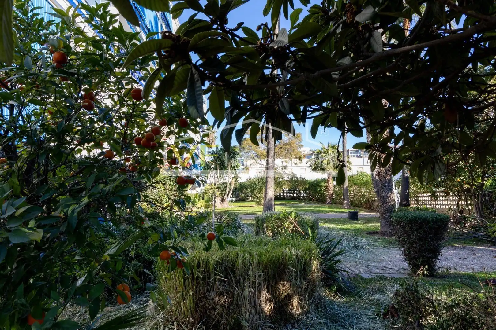 Jardí de Apartament en venda en Torremolinos amb Jardí privat, Terrassa i Piscina comunitària