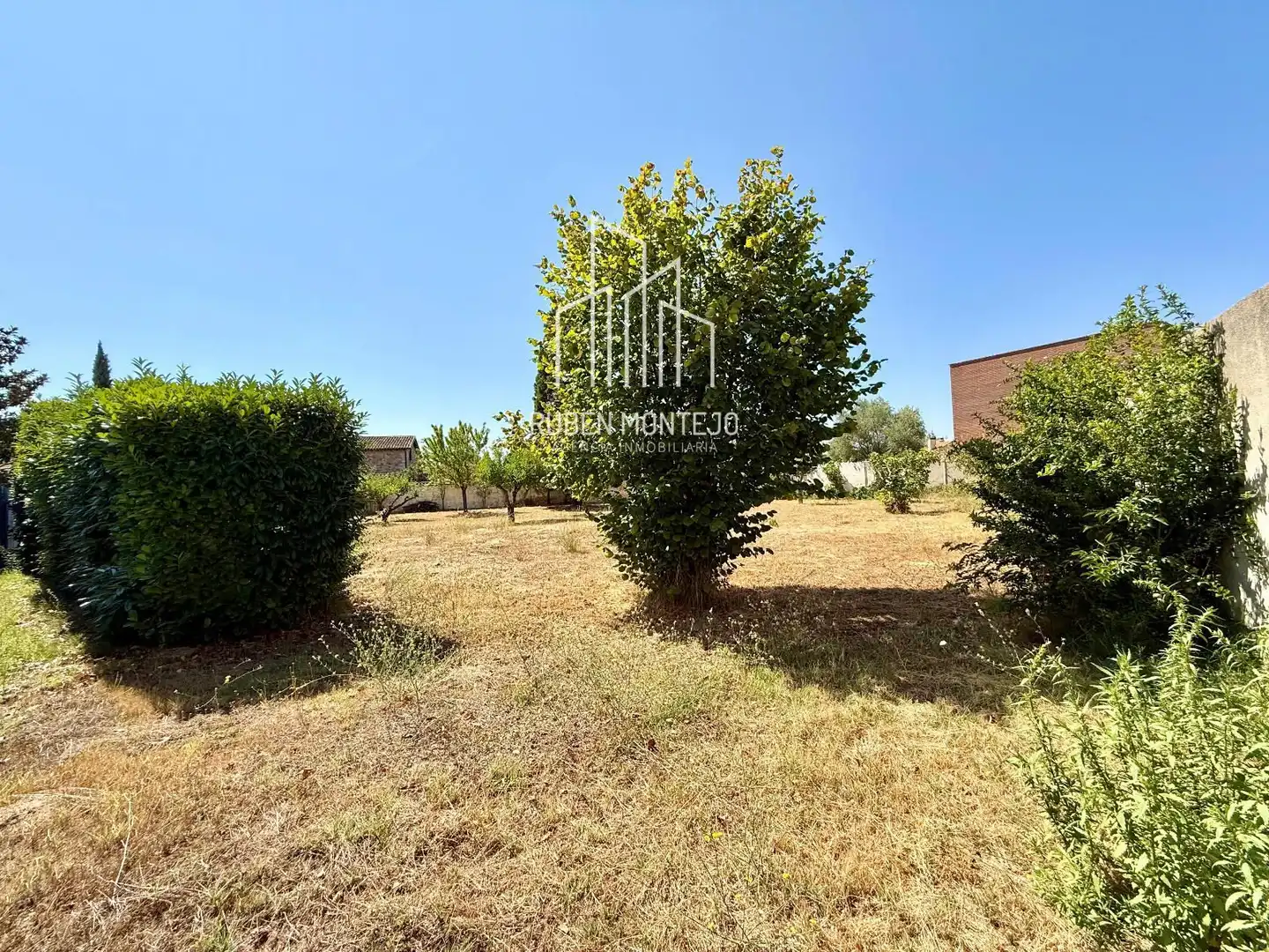 Rural land for sale in Cañaveral, imagen 16