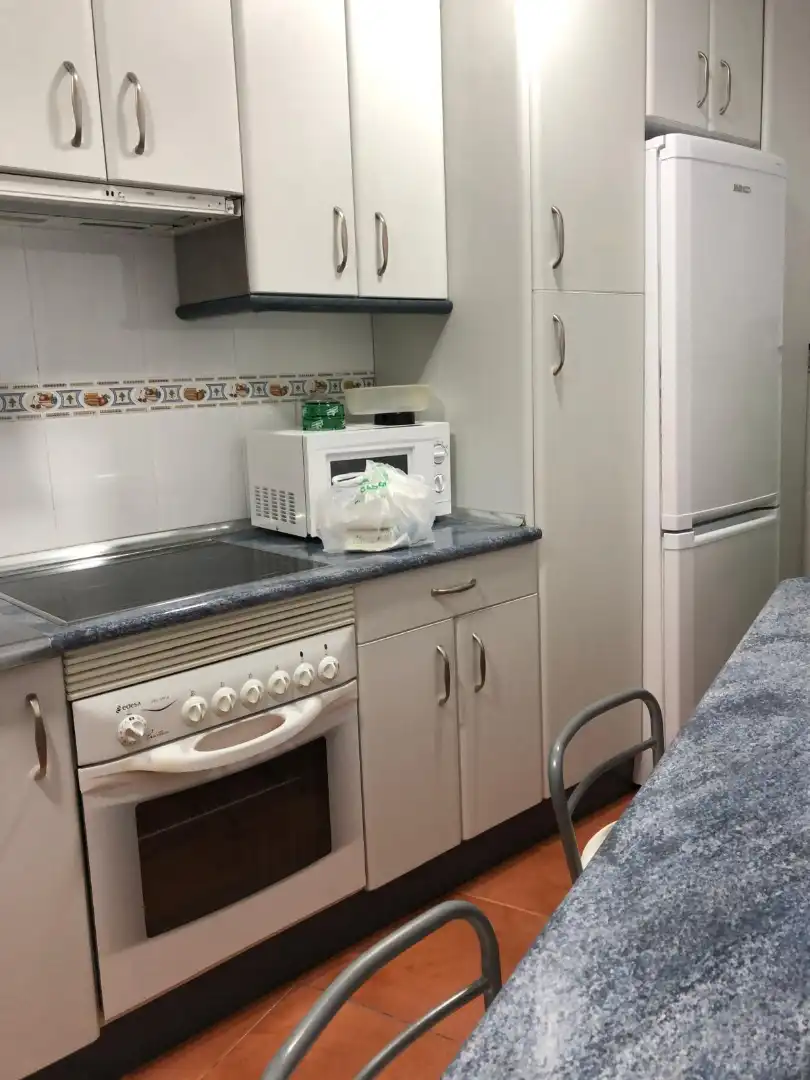 Kitchen of Flat for rent in Salamanca  with Heating, Parquet flooring and Furnished