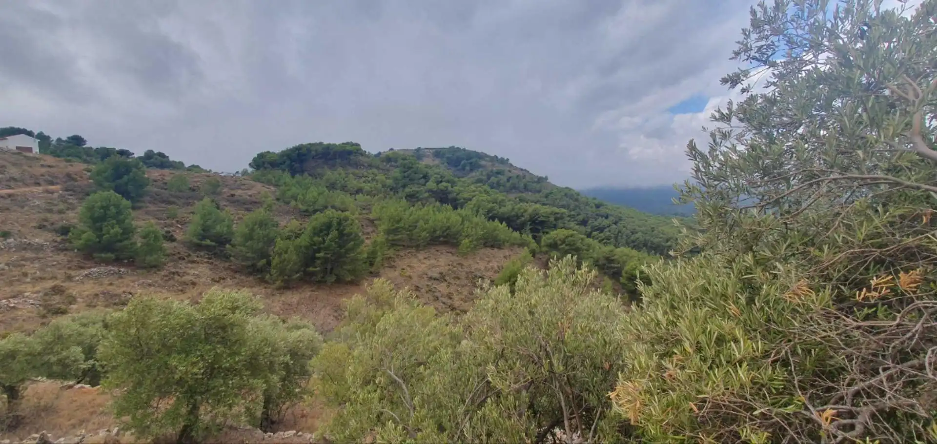 Terrenos y solares en venta en Yunquera, imagen 3