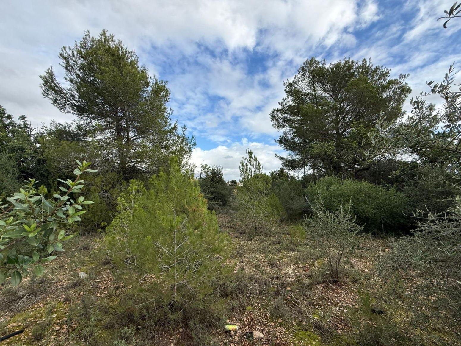 Residencial en venta en Marratxí