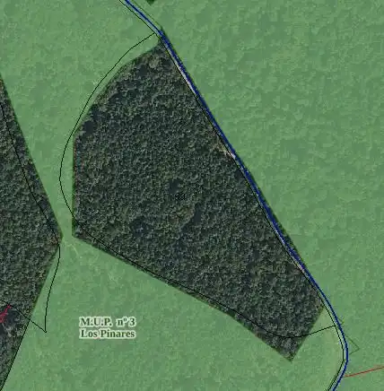 Land for sale in Arenas de San Pedro