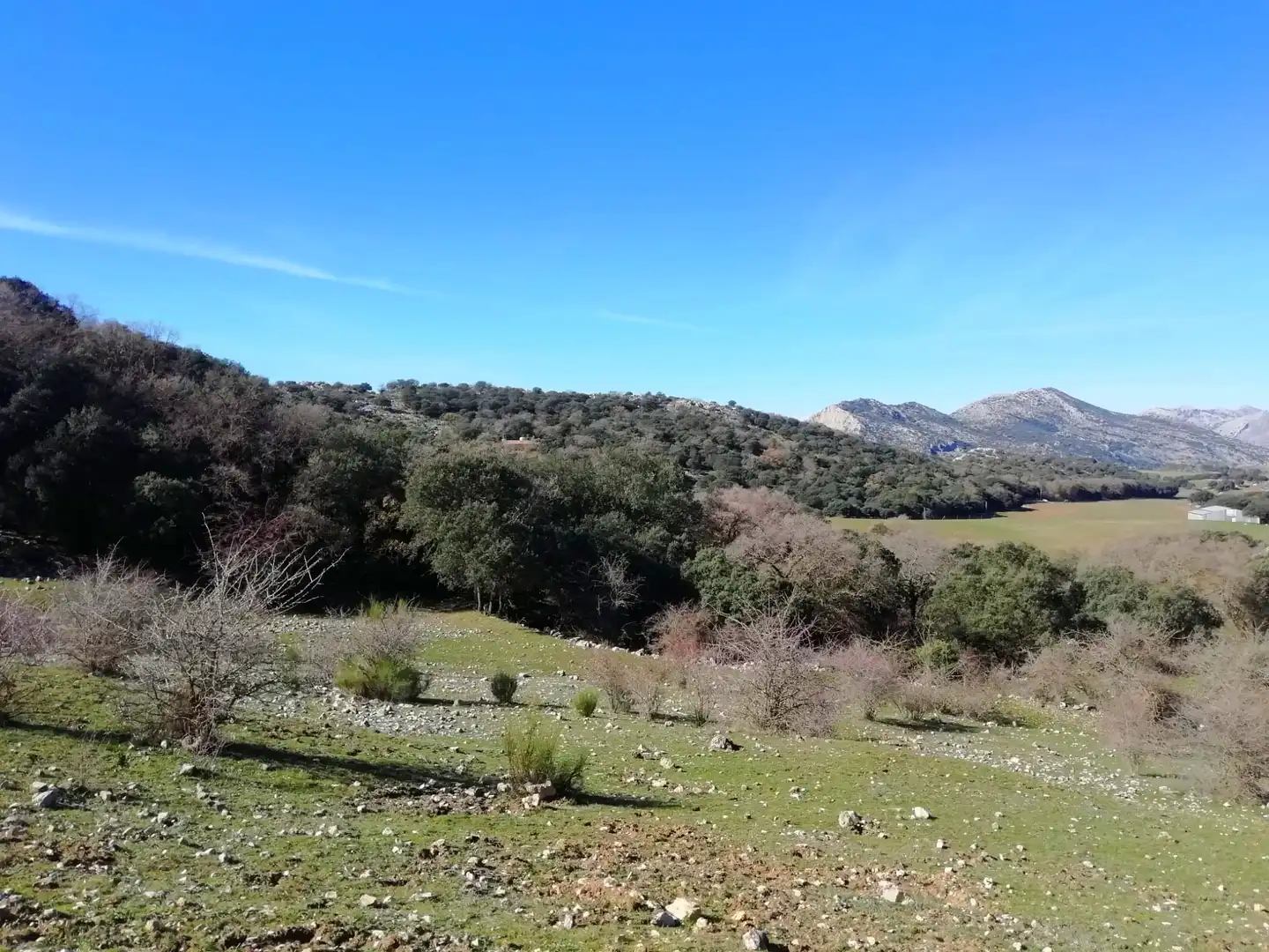 Casa rústica amb jardí en venda a Zafarraya, imagen 32