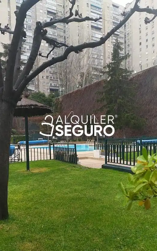 Piscina de Estudi de lloguer en Madrid amb Aire condicionat i Piscina
