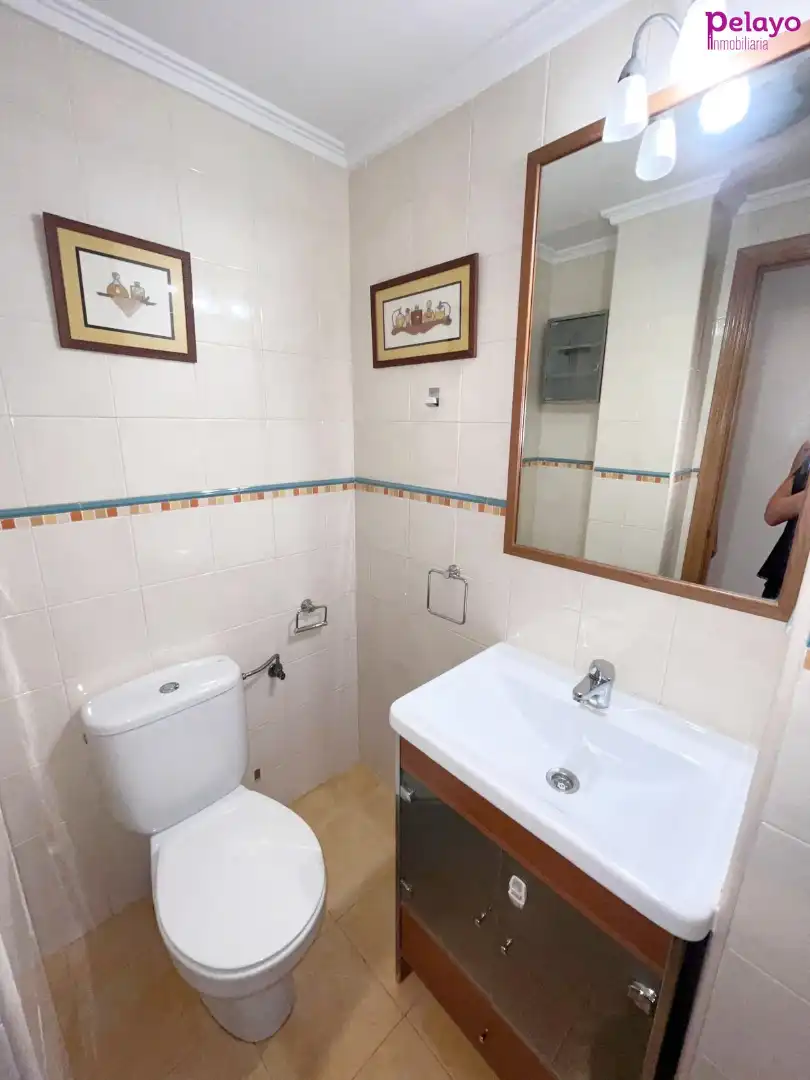 Bathroom of Flat for rent in Reocín  with Heating, Storage room and Furnished