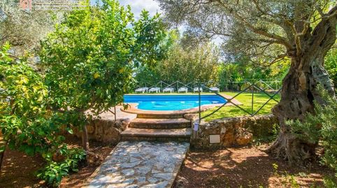 Impresionante Finca en Sencelles con Licencia Vacacional, immagine 3