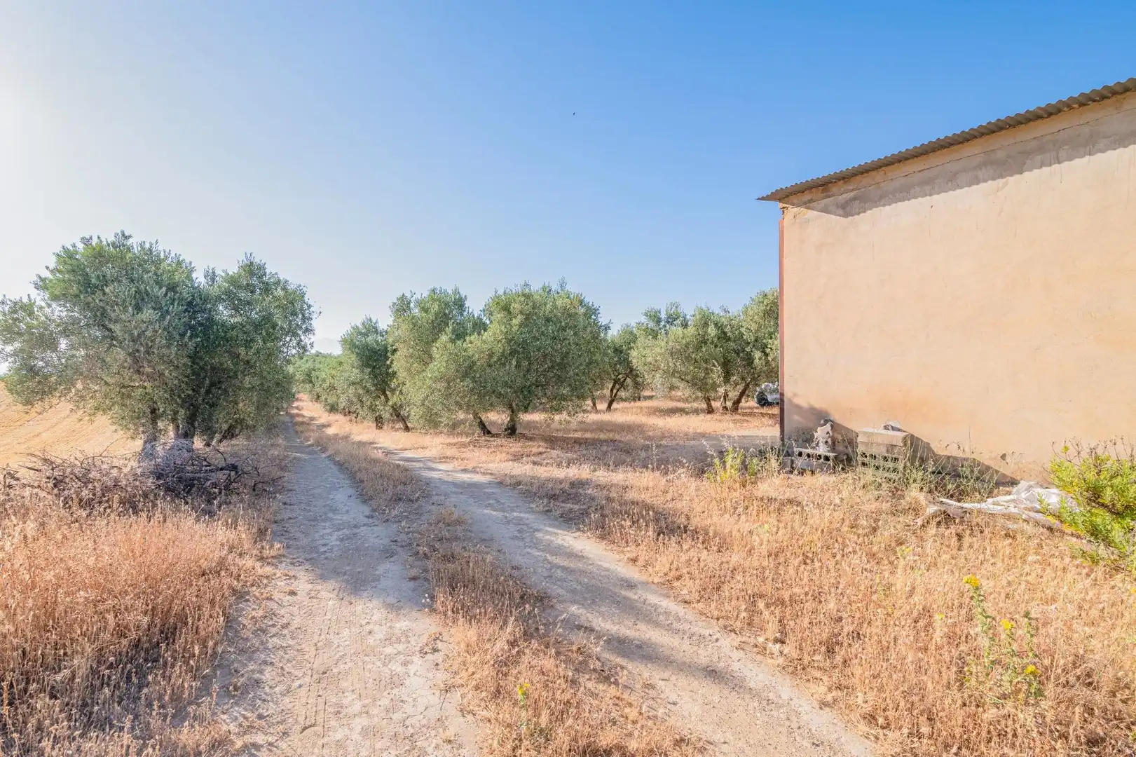 Apartments for sale in Santa Fe