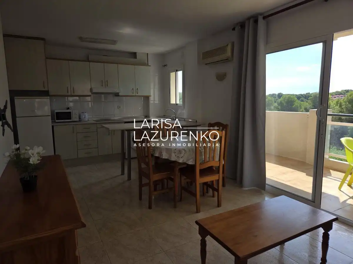 Apartment with lift for sale in BOSC GRAN, imagen 11
