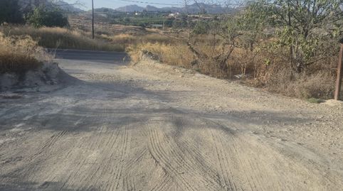 TERRENO AGRARIO- VILLANUEVA DEL SEGURA , GRAN OPORTUNIDAD!!!, immagine 2