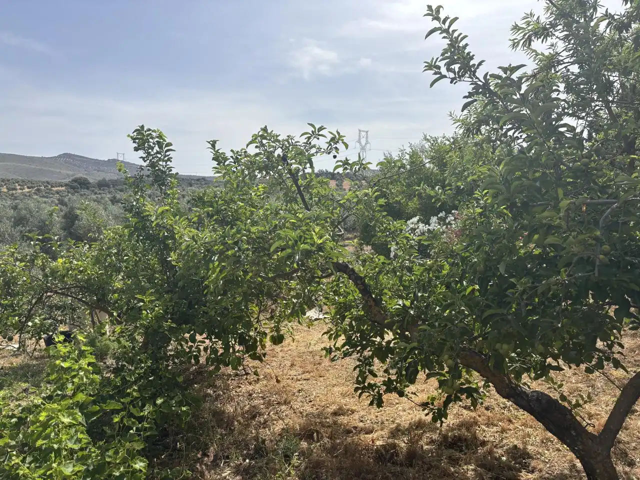 Industrial buildings for sale in Diseminado Poligono 169, 29, Bobadilla - Bobadilla Estación - La Joya