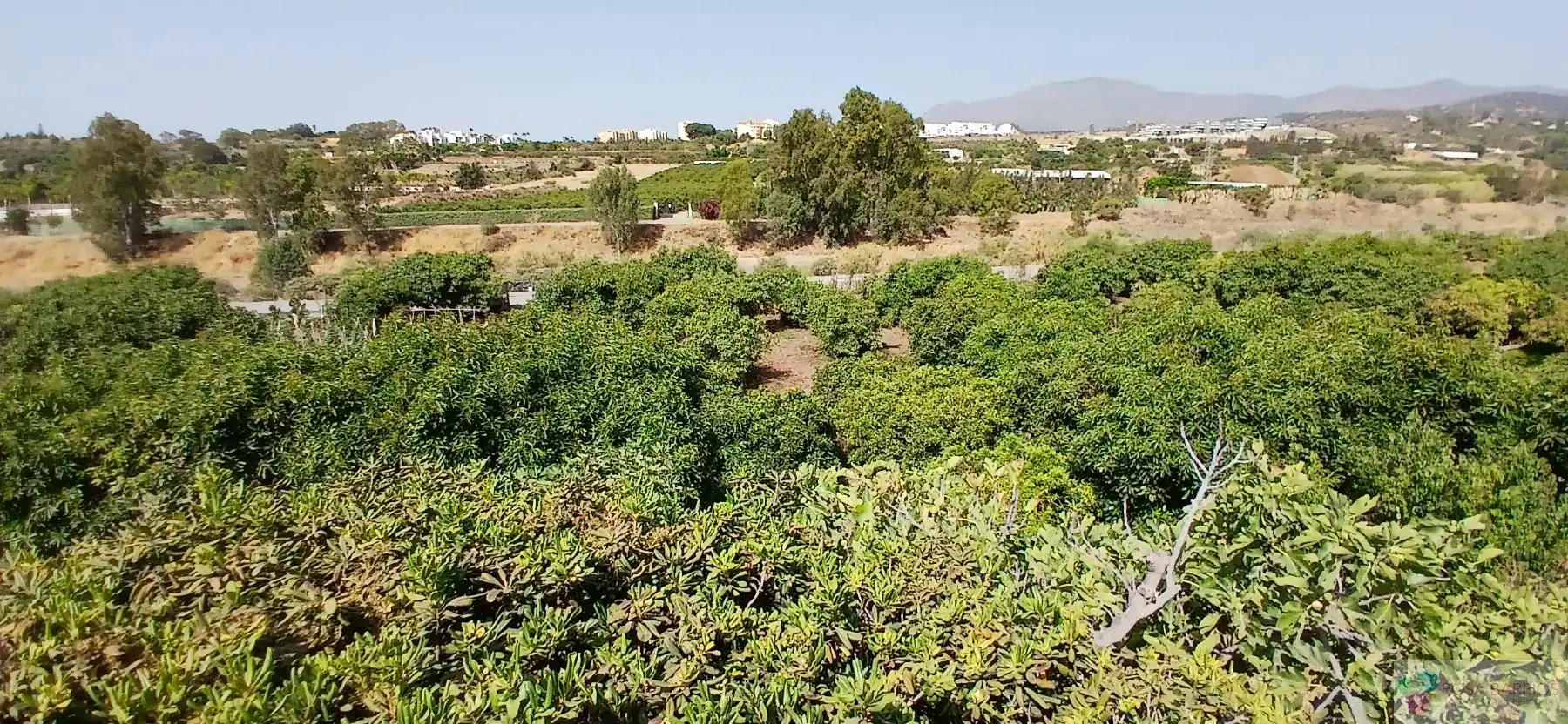 Terreni e lotti in vendita a Benamara - Atalaya, imagen 10
