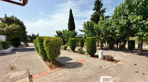 Foto 5 de Finca rústica en venda a El Pla del Penedès, Barcelona