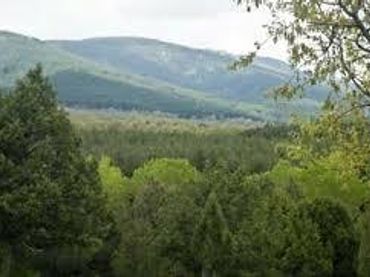 Terreno residenziale in vendita a Prádena