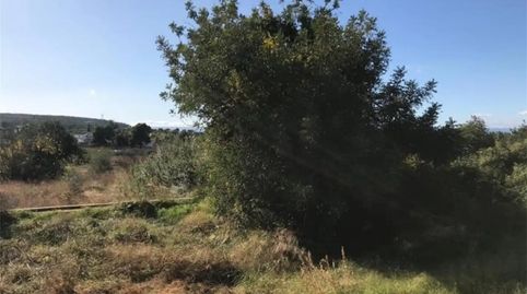 Foto 5 de Finca rústica en venda a Calle Vent de Migjorn, 33, Santa Bárbara, Llíria