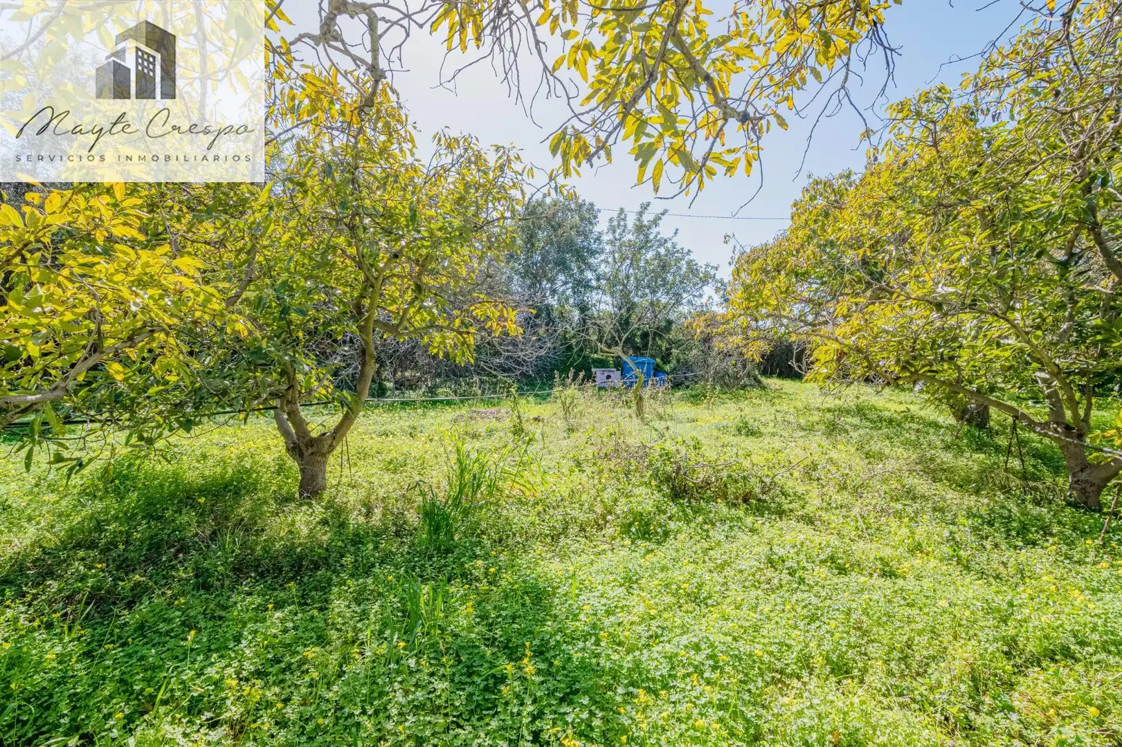 Detached house with pool for sale in Calle alcubillas 44, imagen 62