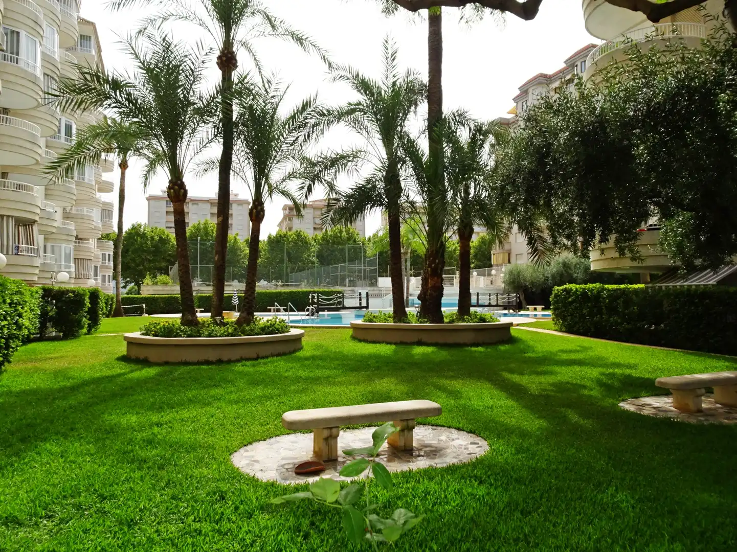 Apartament amb terrassa de lloguer a Playa de Gandia, imagen 33