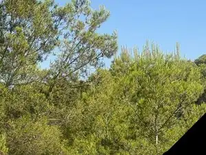 Rustikales Grundstück zum Verkauf in Carrer Quintanes 16, imagen 3