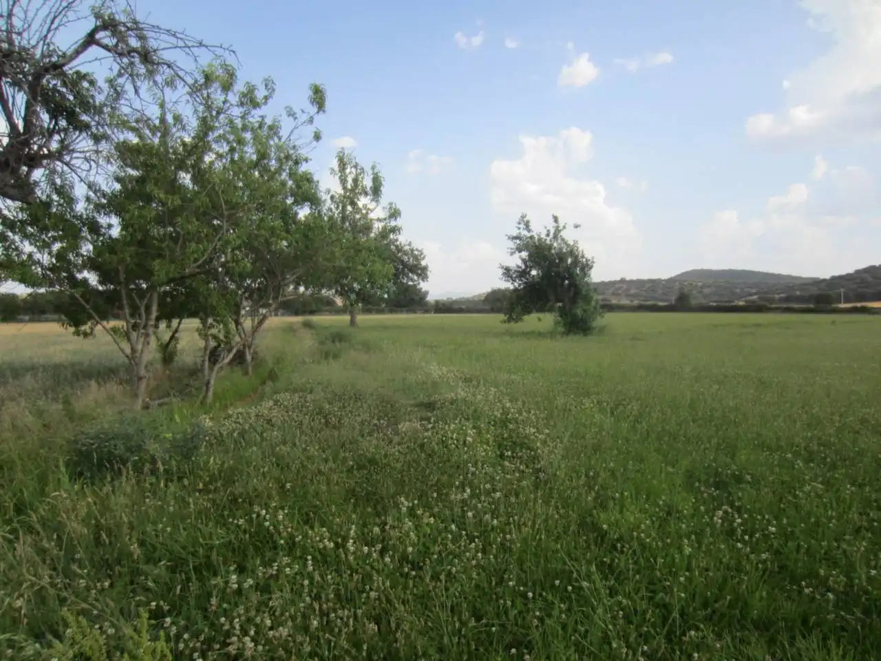 Terreno rustico in vendita a Calle RONDA DEL MEDIODIA, imagen 31