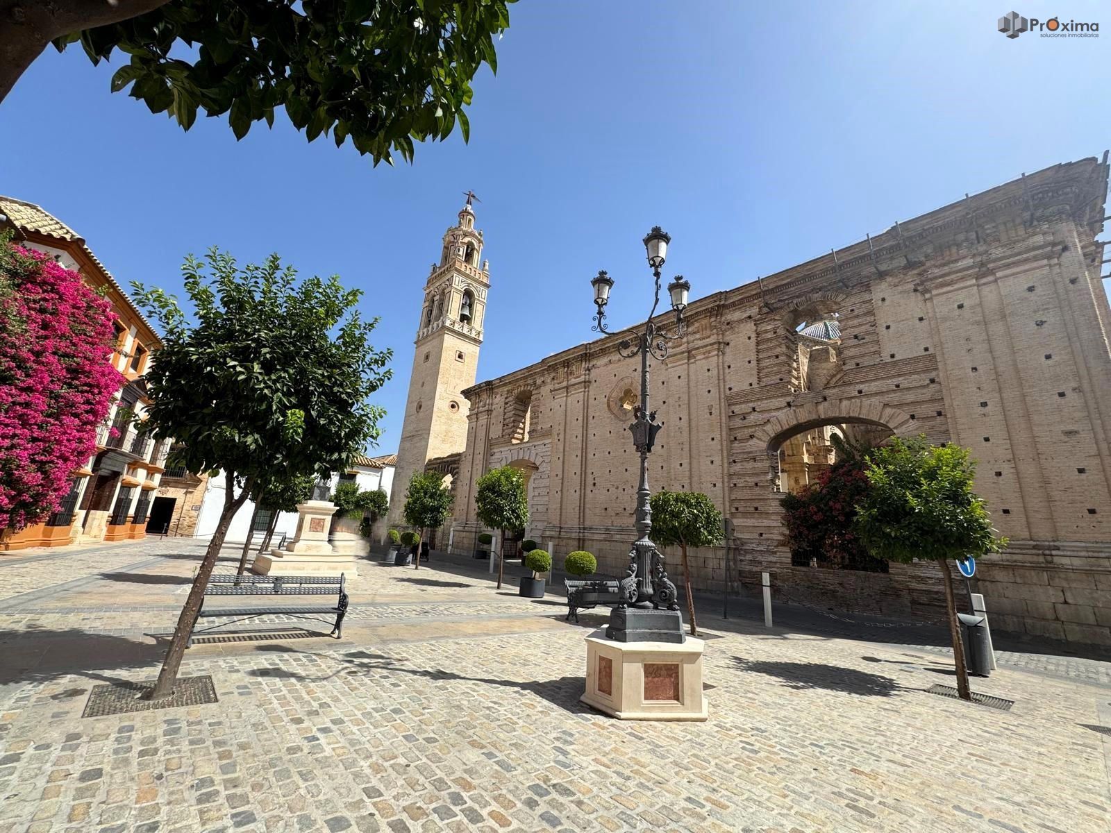 Vista exterior de Casa adosada en venda en Écija amb Aire condicionat, Jardí privat i Terrassa