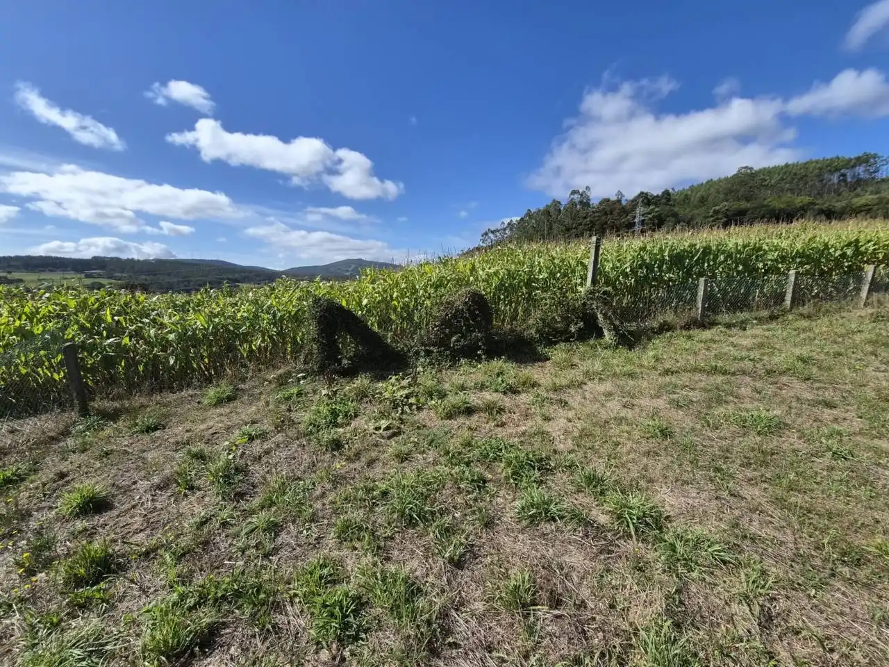 Country homes for sale in Rois  with Private garden, Furnished and Alarm
