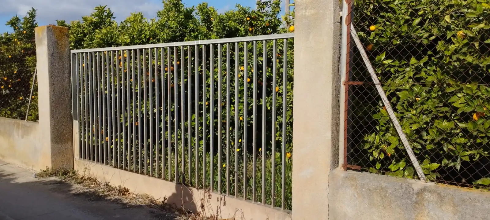 Terreno rústico en venta en Partida Collet 116, imagen 16