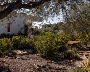 Garden of House or chalet for sale in  Palma de Mallorca  with Private garden