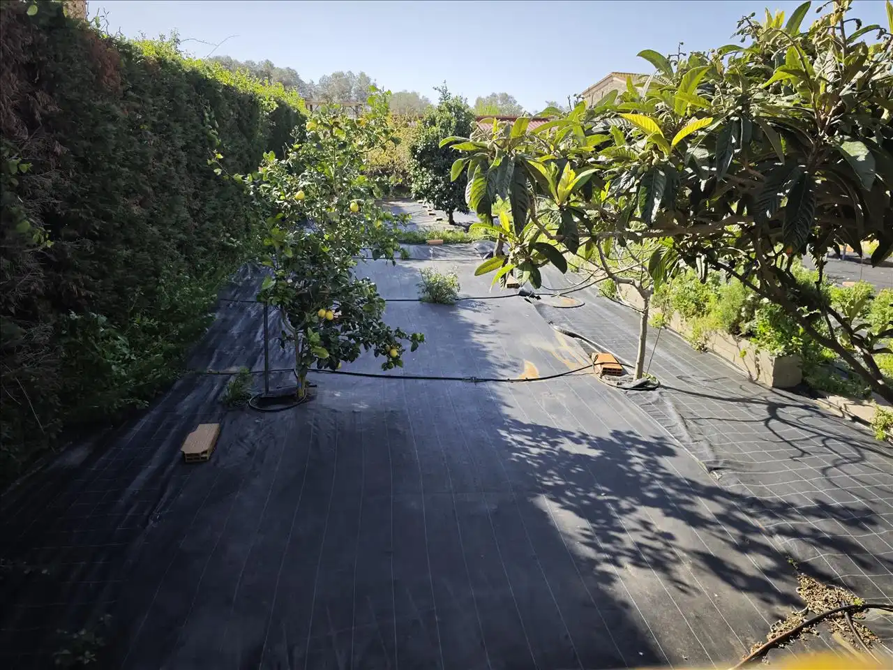 Residential for sale in ROGER DE FLOR, Vilajuïga