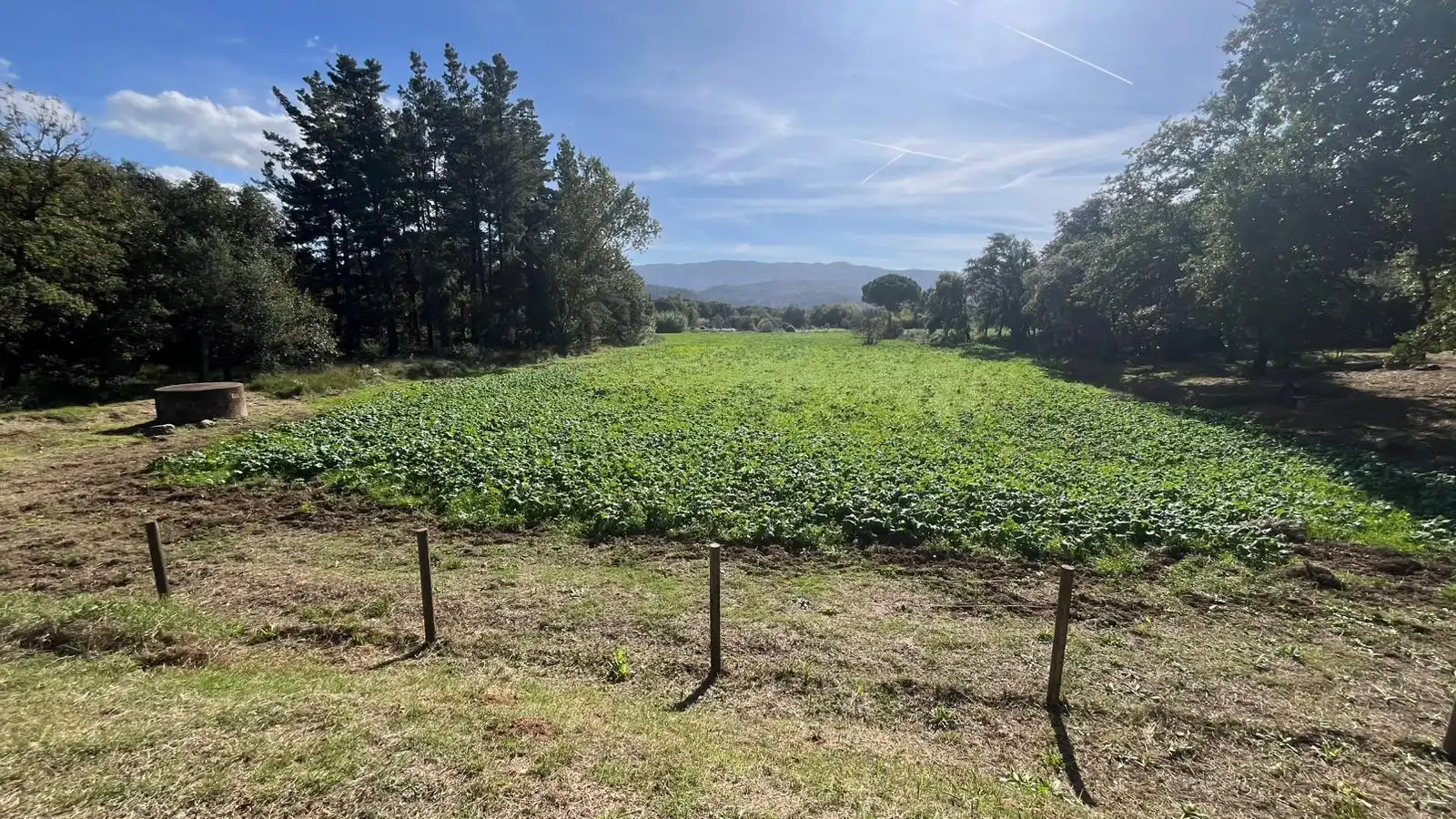 Finca rústica de alquiler en Gualba con Calefacción